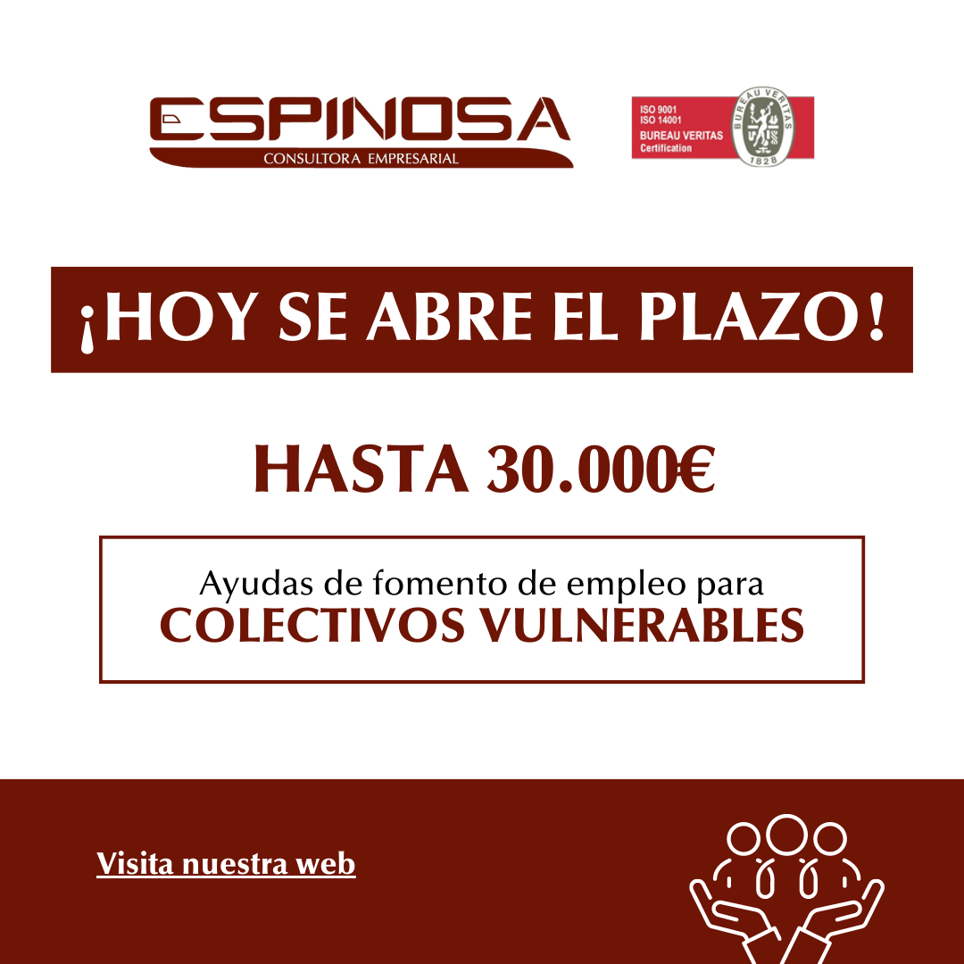 AYUDAS DE FOMENTO DE EMPLEO PARA COLECTIVOS VULNERABLES Consultoría Elche